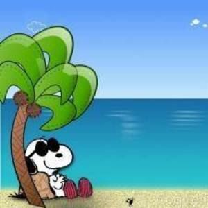 Meet your Posher, Dawn